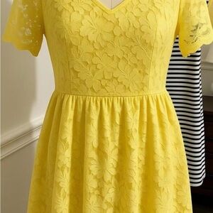 Daniel Cremieux Sunlit Lace Dress